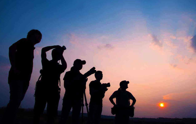 ݷż¼Ƭ߻ɻֻļգ5Ƭʸ